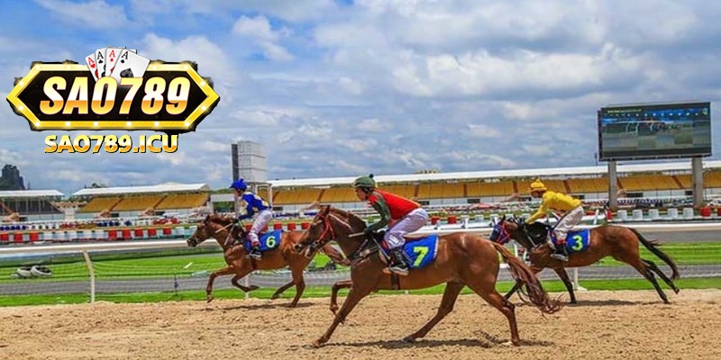 Cá cược đua ngựa